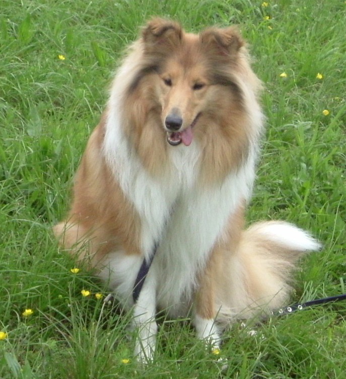 AuamRhein2005 0160404