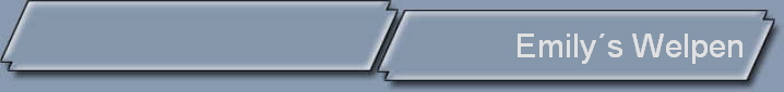 Emily_s_Welpen_NBanner
