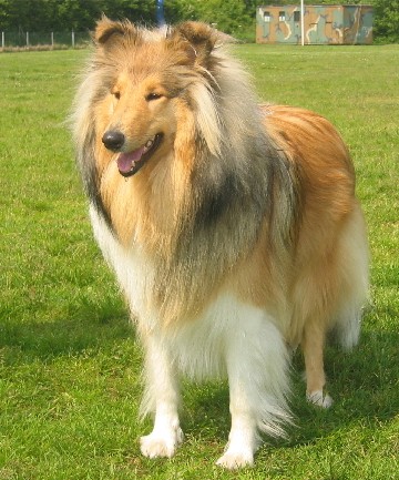 Fly 11 Mon. Standjpg