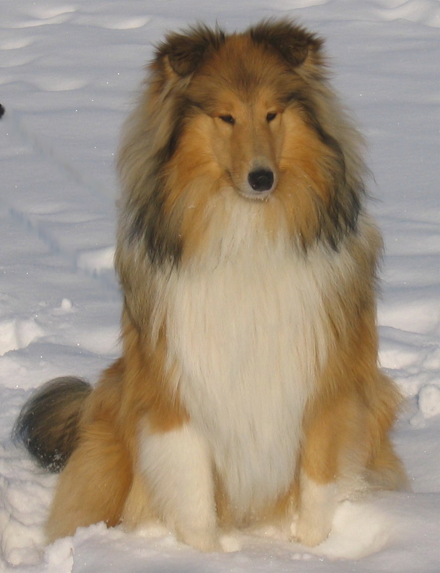 Gina sitzend 05.03.05 005