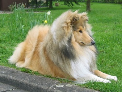 Gironimo2 April 05 HP2