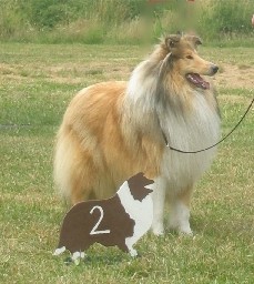 K�llerbach 26.06.2005