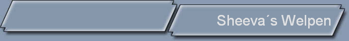 Sheeva_s_Welpen_NBanner