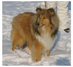 Gwendy M�rz 2005-1