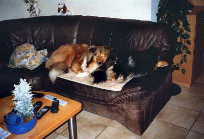 MeinSofa_KommNaeherUndIchBeamDich